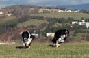 IMG_0205 kopie